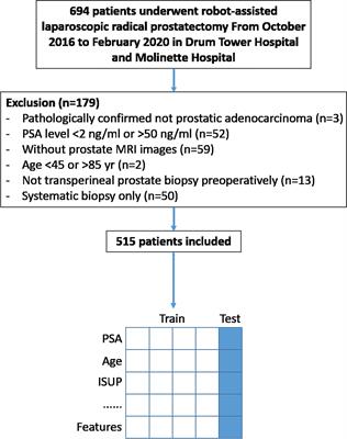 Machine Learning-Based Prediction of Pathological Upgrade From Combined Transperineal Systematic and MRI-Targeted Prostate Biopsy to Final Pathology: A Multicenter Retrospective Study